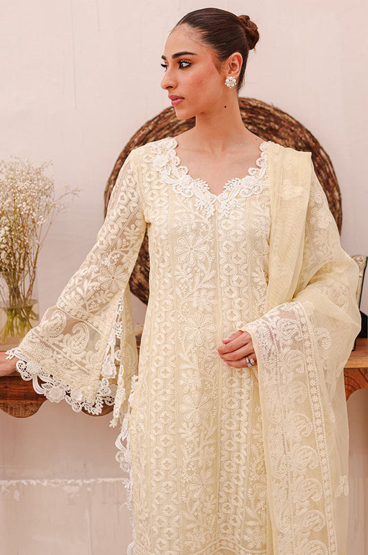 Noorah Luxe Edit '24 - Fariha
