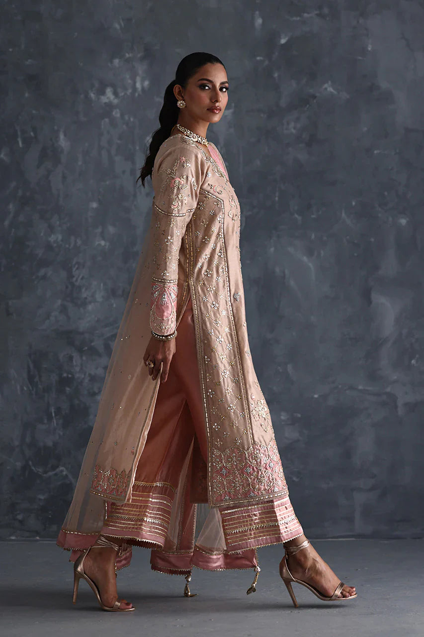 Vera Festive '25 - Dilrubah