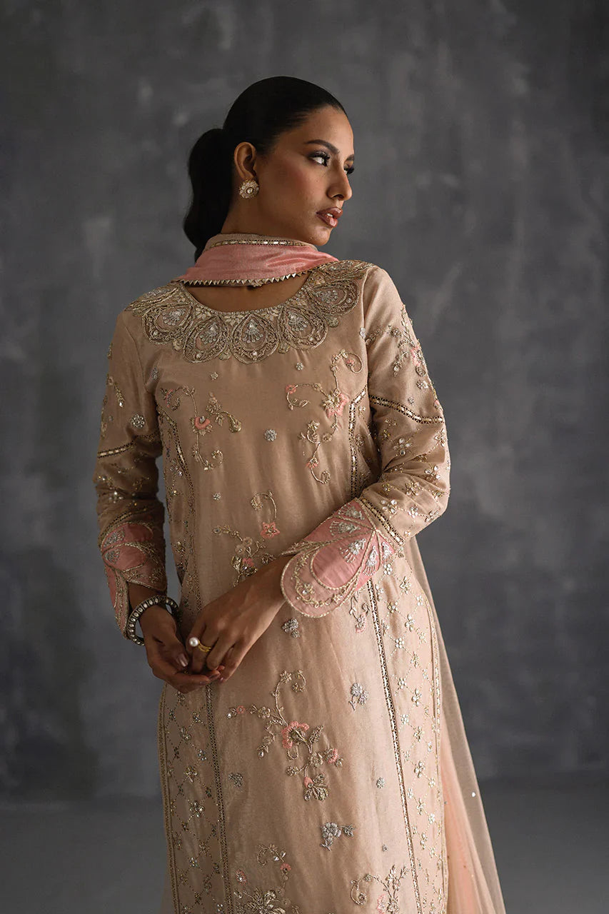 Vera Festive '25 - Dilrubah