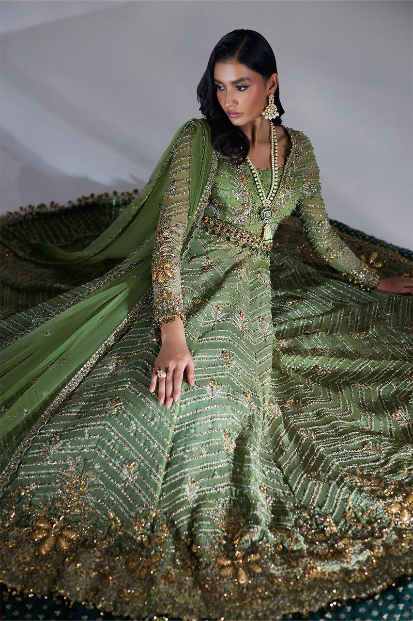 Lumiere '24 - Scintillant Olive (Ep-20995)