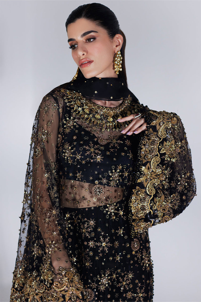 Lumiere '24 - Cascade D'ÉToiles' (Ep-21013)