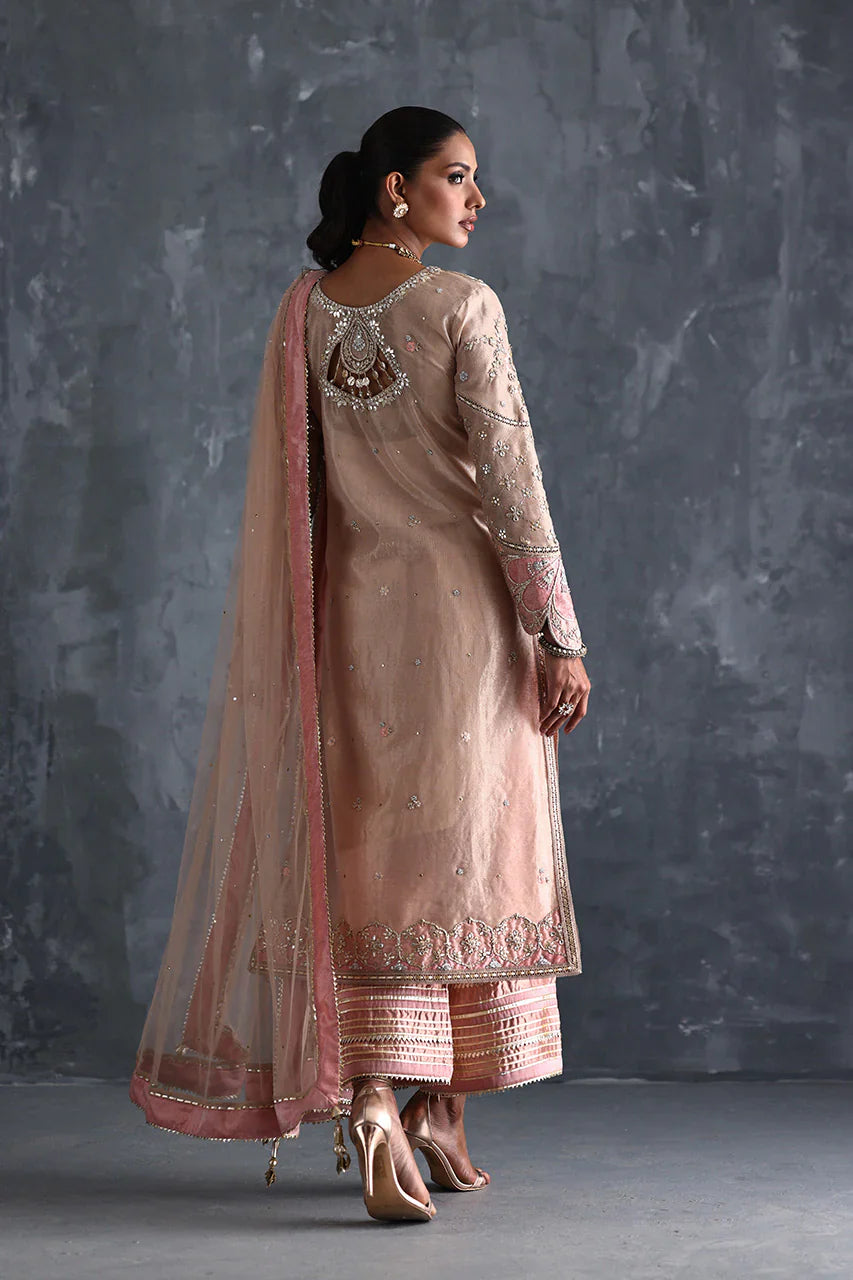 Vera Festive '25 - Dilrubah