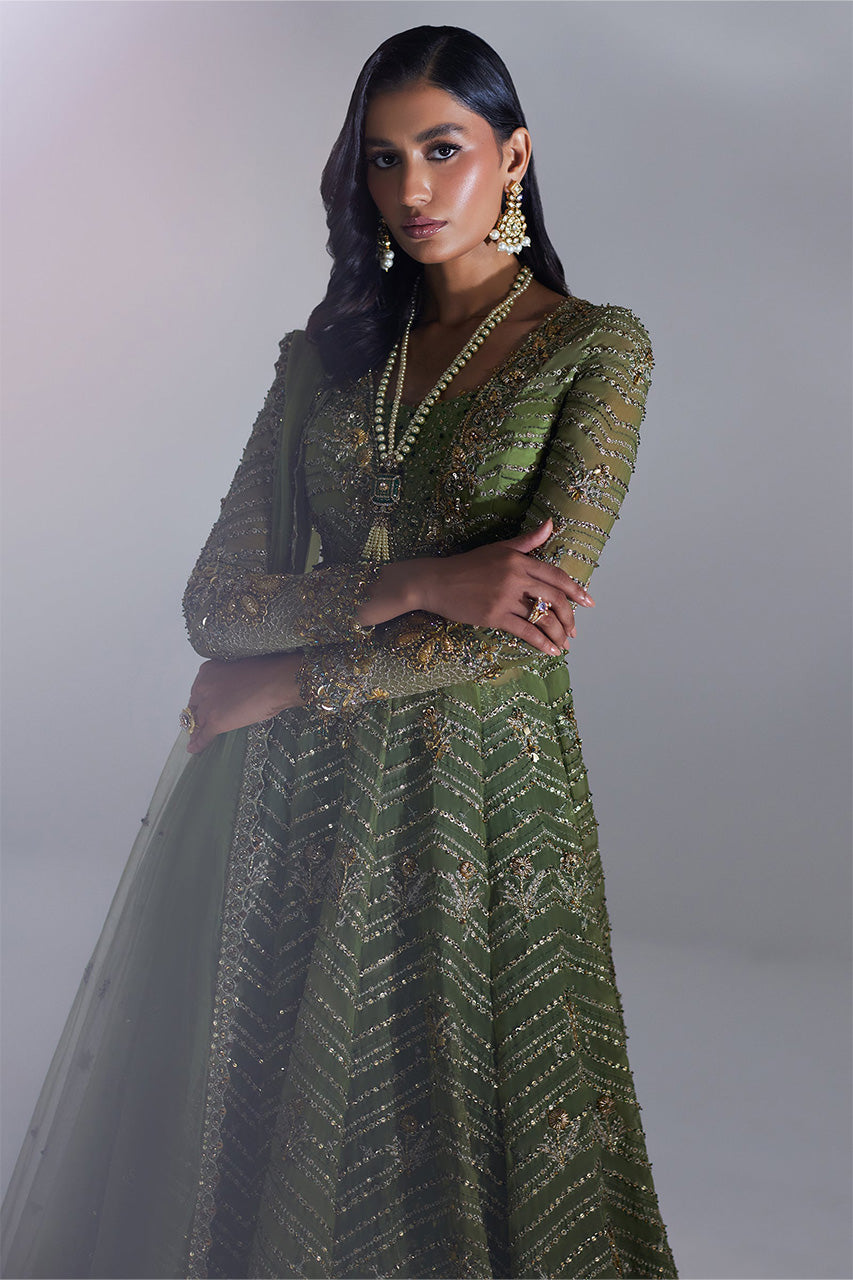 Lumiere '24 - Scintillant Olive (Ep-20995)