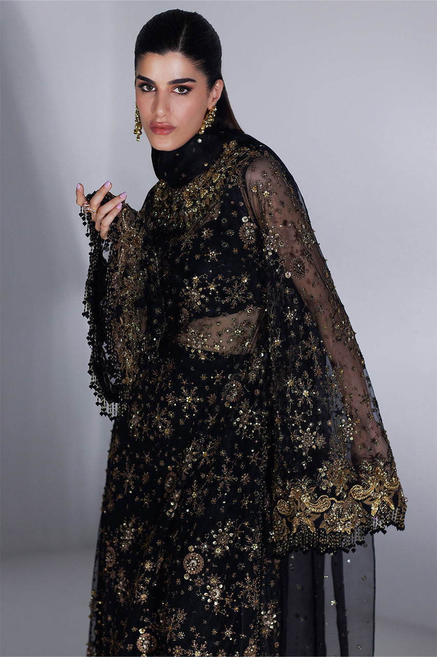 Lumiere '24 - Cascade D'ÉToiles' (Ep-21013)