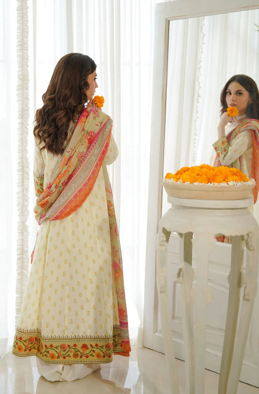 Hayaat Anarkali And Dupatta