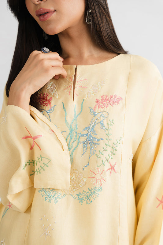 Passu Festive Edit '25 - Arqad Top