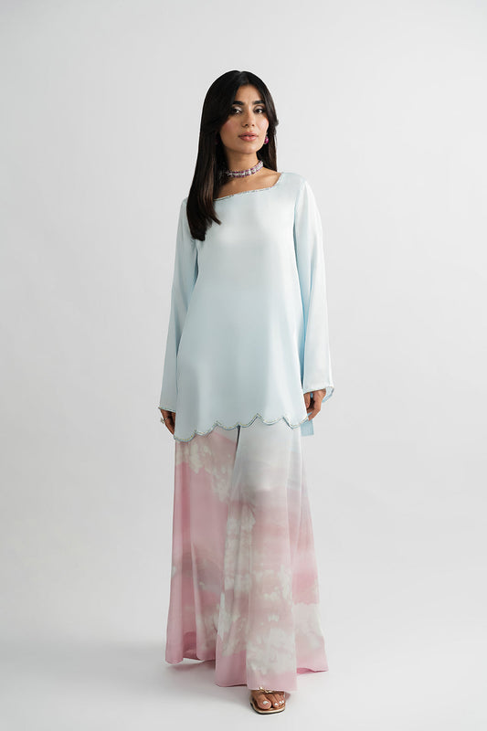 Passu Festive Edit '25 - Danoz Top