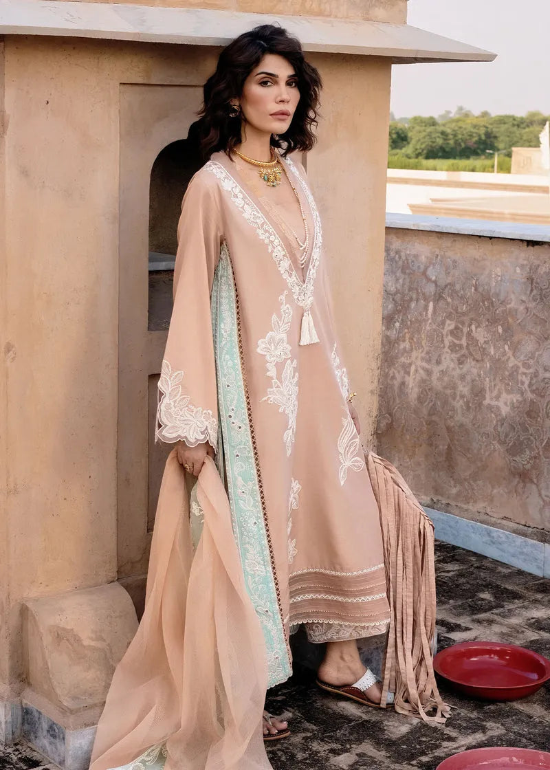 Mitti Winter '25 - Nawabi Notes