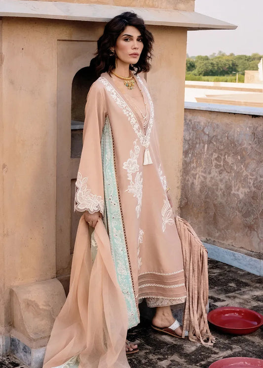 Mitti Winter '25 - Nawabi Notes