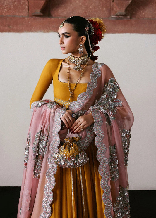 Dilruba Couture '25 - Elika